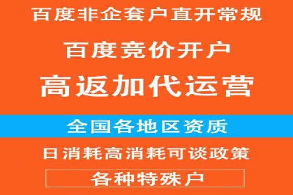 某电商平台的SEM服务全解析
